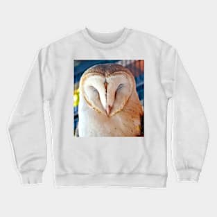 Sleeping Barn Owl Crewneck Sweatshirt